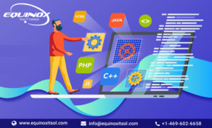 web application development services