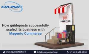 ecommerce website development