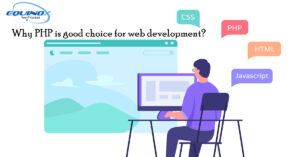 PHP development company