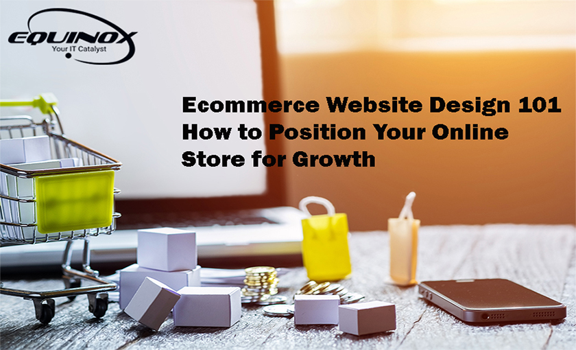 Ecommerce Website Design 101: How to Position Your Online Store for Growth