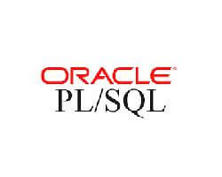 Oracle PL/SQL